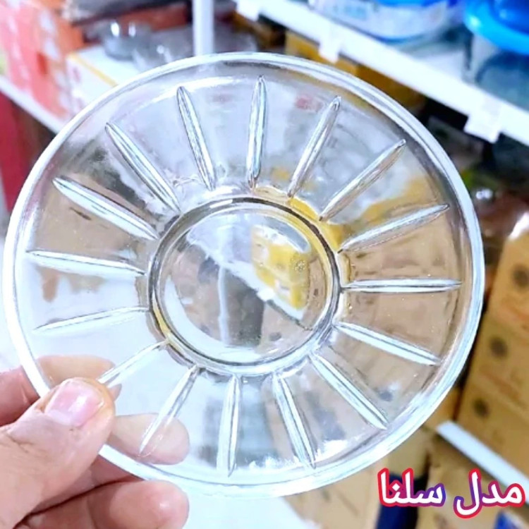 نعلبکی در مدلهای دیلما تلما لیندو آمیتیس سلنا کورالو دلوین صدف بیوتی نلبکی 6 عددی کادویی