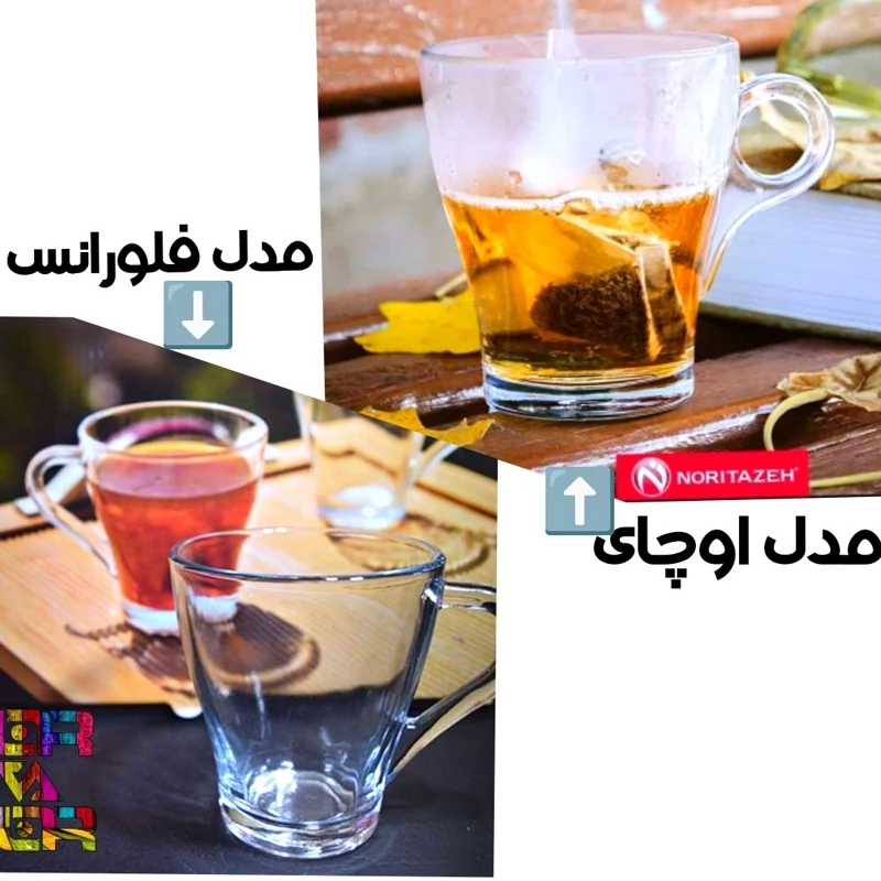 لیوان شلغمی در دو مدل اوچای نوری تازه و فلورانس کاوه سفید شفاف 6 عددی