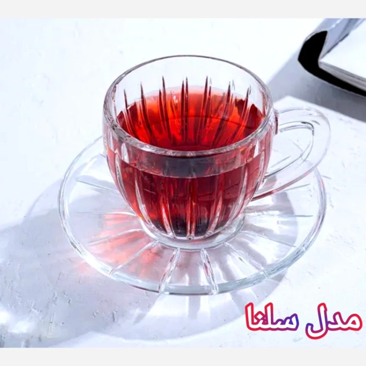 فنجان سلنا شفاف 6 عددی کادویی 110 سی سی