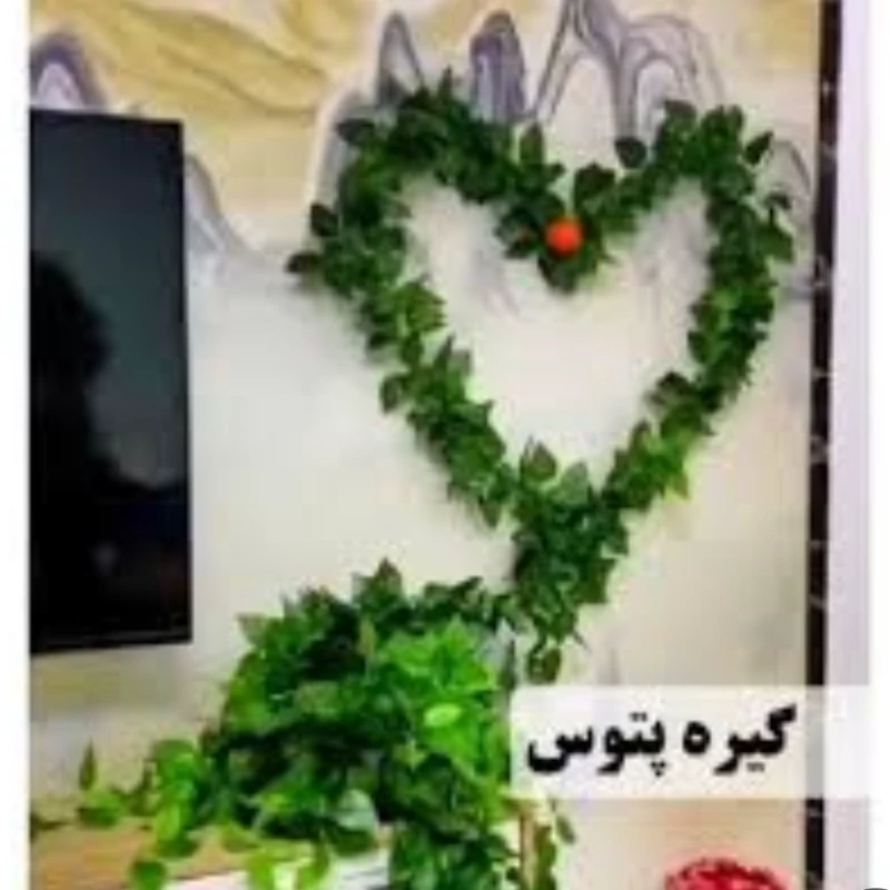 گیره نگهدارنده گل و گیاه رونده پیچی(بسته 10 تایی)گیره پتوس(توضیحات نحوه استفاده به دقت خوانده شود)