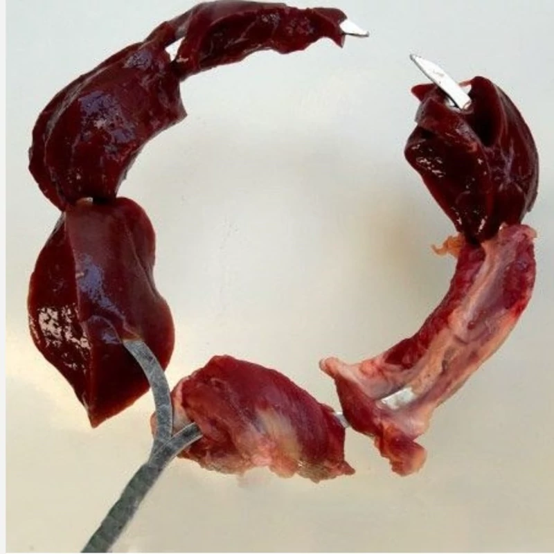 سیخ کباب دایره ای3عددی سیخ گرد گالوانیزه(بسته 3 تایی همراه 3دستگیره) یک بسته 3 عددی ، میل کباب