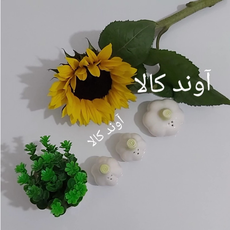 نمکدان 3 تایی طرح سیر سرامیکی سایز بزرگ نمکپاش فلفل پاش طرح سیر(مجموعه3عددی بدون استند)نمکپاش دکوری رومیزی