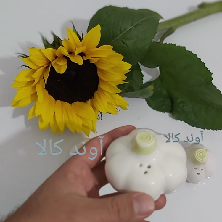نمکدان 3 تایی طرح سیر سرامیکی سایز بزرگ نمکپاش فلفل پاش طرح سیر(مجموعه3عددی بدون استند)نمکپاش دکوری رومیزی