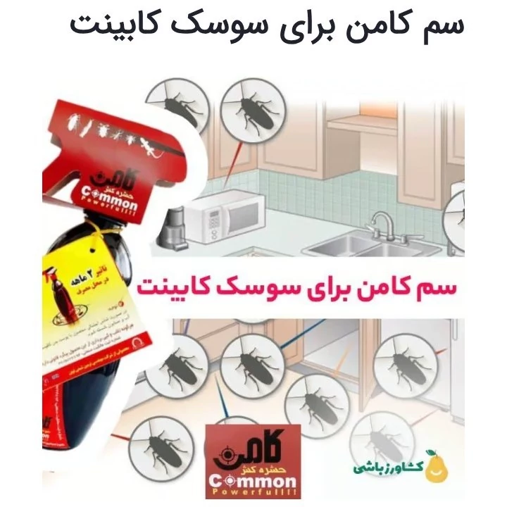اسپری حشره کش قوی کامن 460 میل سوسک ساس مارمولک کک کنه