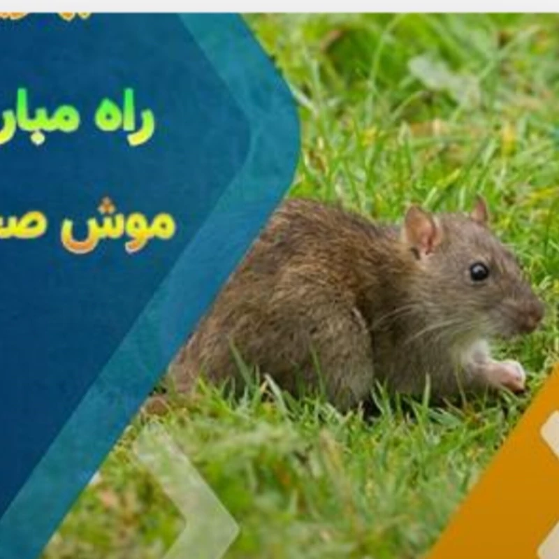 دستگاه دورکننده حیوانات موذی موش اصلی
