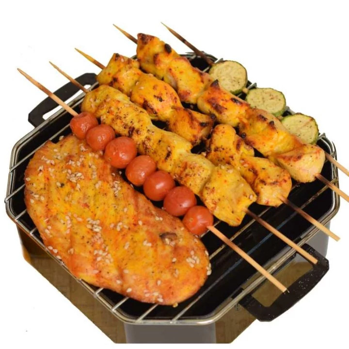 کباب پز حرفه ای روگازی مدل پنجره