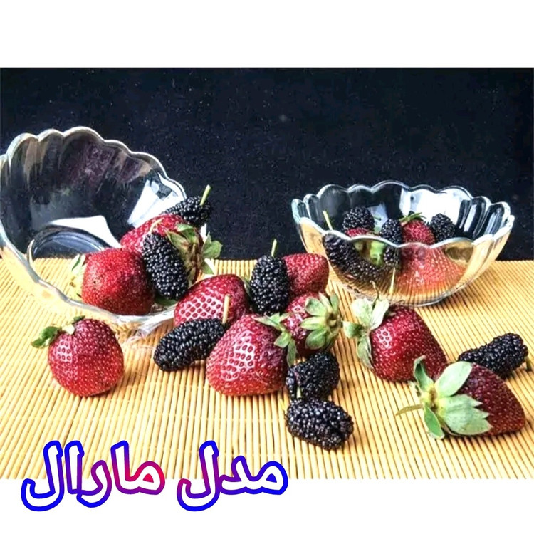 انواع پیاله و کاسه با ارسال رایگان (6 عددی) تمامی مدلها با ابعاد و مدلهای مختلف