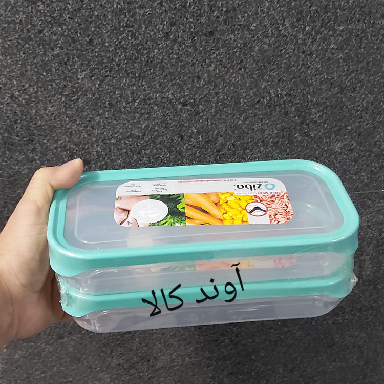 جاگوشتی مستطیل درب دار سایز بزرگ 2 تایی زیبا سازان(ظرف گوشت و مرغ فریزری) دو عدد
