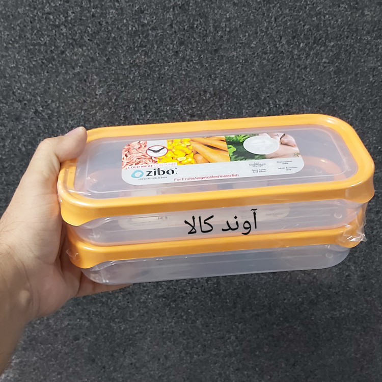جاگوشتی مستطیل درب دار سایز بزرگ 2 تایی زیبا سازان(ظرف گوشت و مرغ فریزری) دو عدد